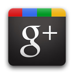 Maximizing the organizational capacity of Google+